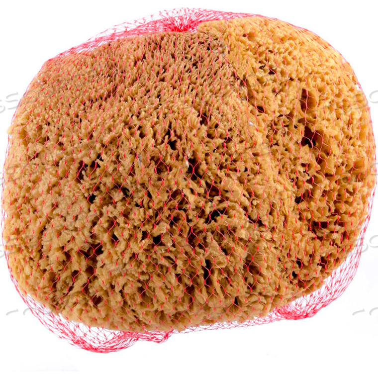 ROLLERLITE EXTRA LARGE NATURAL SEA SPONGE, BEIGE, 12/CASE 