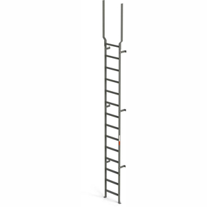 STEEL VERTICAL WALL MOUNT LADDER W/ RAIL EXTENSIONS, 14 STEP GRAY by EGA Products, Inc.