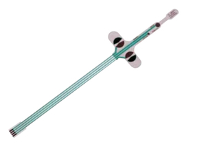 ST. MARK'S PUDENDAL ELECTRODES by LABORIE