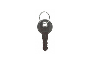 KEY SILVER 1-3/4 SZ NICKEL MATERIAL PK2 by Safety Technology International