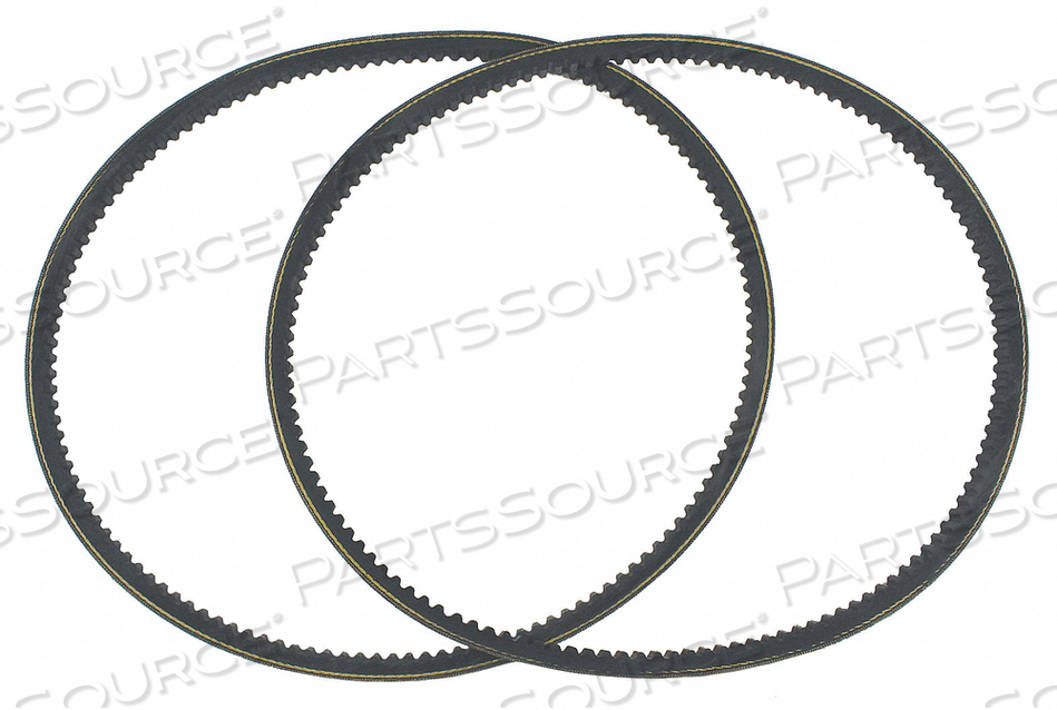 COGGED V-BELT 1/2 IN X 53 IN L PK2 by Powerflite