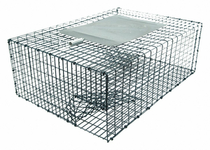 BIRD TRAP 17-1/4 IN L 12-1/4 IN W by Kness Pest Defense