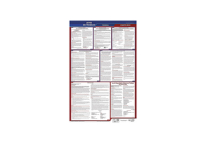 LABOR LAW POSTER FED/STA PR SP 26INH 3YR by J.J. Keller & Associates