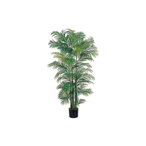 6' ARECA SILK PALM TREE by Nearly Natural
