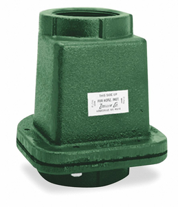 SWING CHECK VALVE CAST IRON 2 FNPT by Zoeller