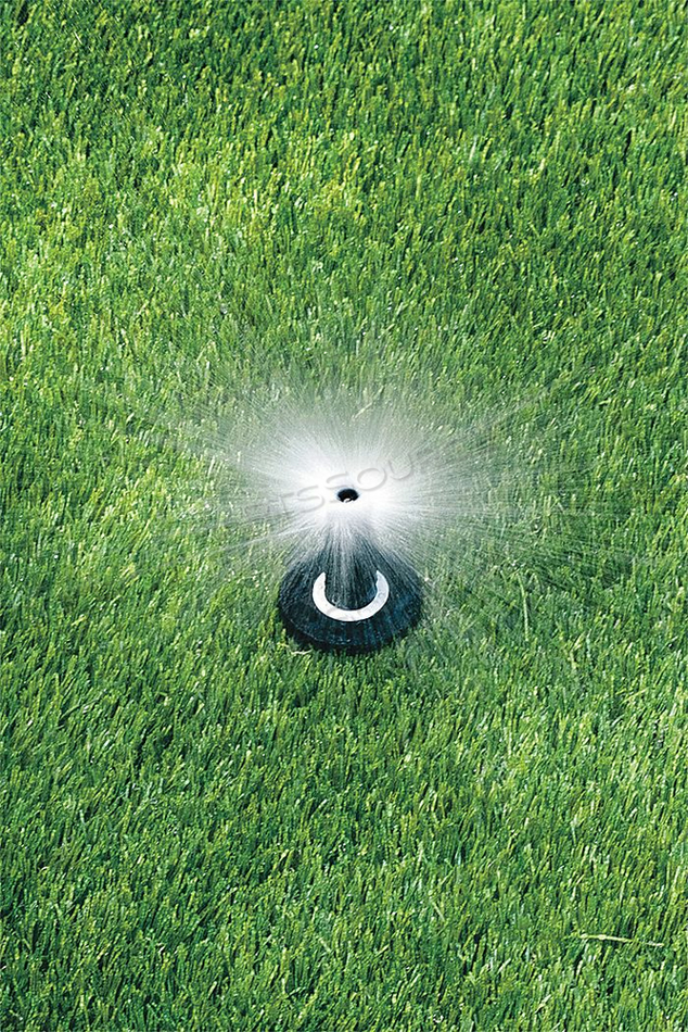 SPRAY HEAD FOR SHRUBS 4 IN H 0.1 GPM by Rain Bird SPRAY HEAD FOR SHRUBS 4 IN H 0.1 GPM by Rain Bird