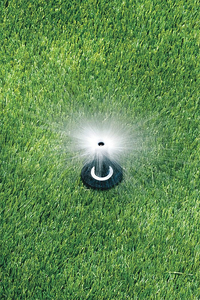 SPRAY HEAD FOR SHRUBS 4 IN H 0.1 GPM by Rain Bird SPRAY HEAD FOR SHRUBS 4 IN H 0.1 GPM by Rain Bird