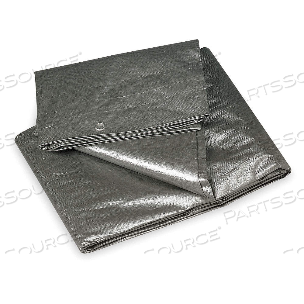 TARP, 29.33 FT LG, 19 FT WD, STD DUTY, 10.5 MIL, POLYETHYLENE, BLACK/SILVER by Approved Vendor