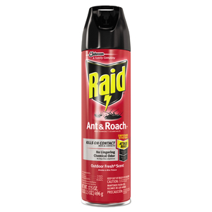 ANT AND ROACH KILLER, 17.5 OZ AEROSOL SPRAY, OUTDOOR FRESH, 12/CARTON by Raid