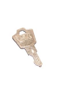 AMX-4/AMX-4+ SPARE KEY WITHOUT CAST MOLD by GE Healthcare