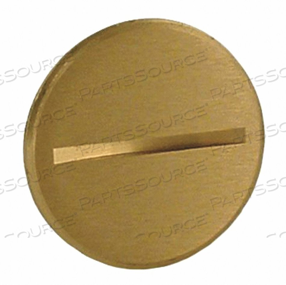 FLUSH PLUG 1 6285 6289 COVER by RACO