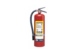 FIRE EXTINGUISHER PLATED BRASS 10 LB. by Badger