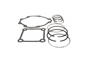 RING AND GASKET KIT FOR 45465101 by Ingersoll-Rand RING AND GASKET KIT FOR 45465101 by Ingersoll-Rand