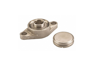 FLANGE BEARING 2-BOLT 1 BORE SS/SS by NTN