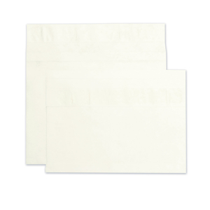 HEAVYWEIGHT 18 LB TYVEK OPEN END EXPANSION MAILERS, #15, SQUARE FLAP, REDI-STRIP ADHESIVE CLOSURE, 10 X 15, WHITE, 100/CARTON by Survivor