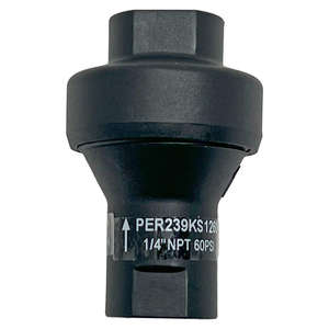 MINIATURE REGULATOR 2 1/16 1 5/16 H by Protect Air