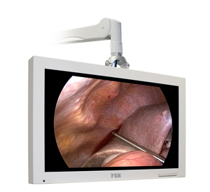 MEDICAL GRADE NDS ENDOSCOPY LCD, 100 TO 240 VAC, 24 VDC, 1920 X 1080 RESOLUTION, 1300:1 CONTRAST RATIO, 178 DEG VIEWING, 6.25 A, 15.8 KG by Foreseeson Custom Displays/OPHIT/FSN Medical