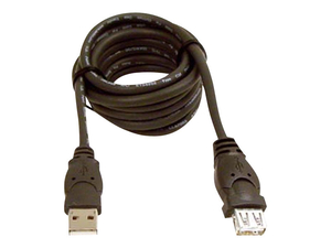 BELKIN PRO SERIES - USB EXTENSION CABLE - USB (M) TO USB (F) - 10 FT ( USB / USB 2.0 ) - MOLDED - B2B by Belkin